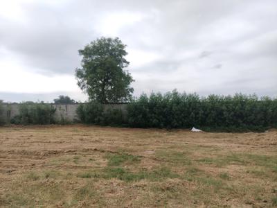 Image of 1350 Sq.ft Residential Plot / Land for sale in G And G Amolik Blossom Woods, Tajupur, Faridabad for Rs. 18000000