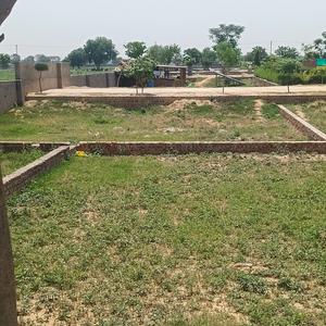Bamrauli Katara Plot View 1