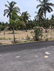 Image of 1650 Sq.ft Residential Plot / Land for sale in Sontyam, Visakhapatnam for Rs. 2208000