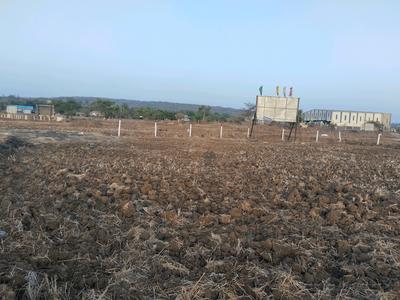 Sarde Plot View 1