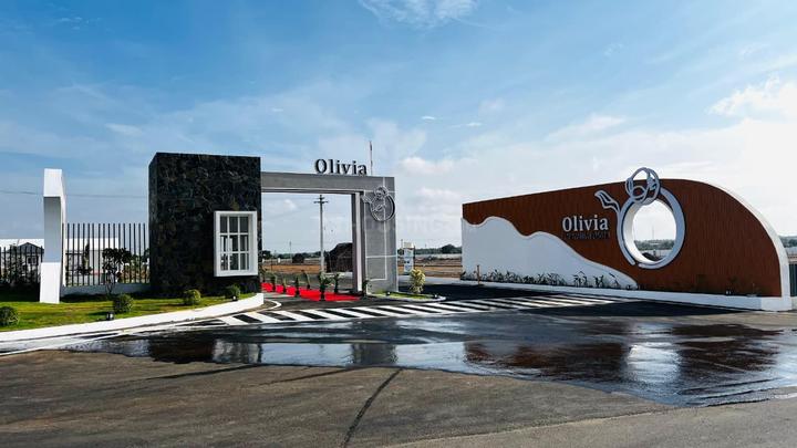 DEV OLIVIA Main Image 1