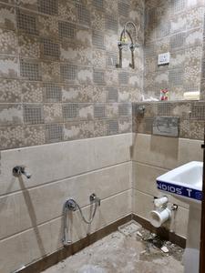 Common Bathroom Image of 550 Sq.ft 2 BHK Apartment / Flat for sale in Razapur Khurd New Delhi for Rs. 3200000