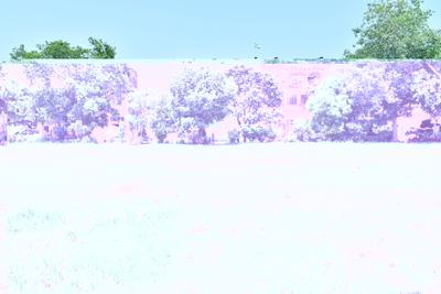 Image of 120 Sq.ft Residential Plot / Land for sale in Delta II, Greater Noida for Rs. 24000000