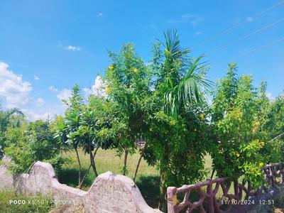 Image of 600 Sq.ft Residential Plot / Land for sale in Singar City, Naya Raipur, Raipur for Rs. 719400