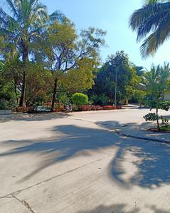 Windmill Village Plot View 1