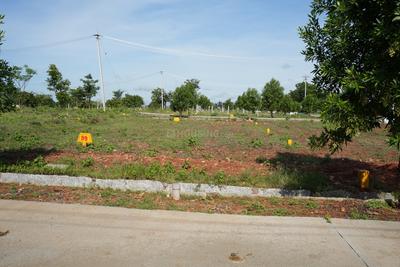 Residential Plot