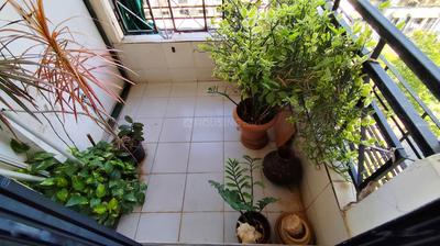 Balcony Image of 1800 Sq.ft 3 BHK Apartment / Flat for sale in Ambawadi Ahmedabad for Rs. 12000000