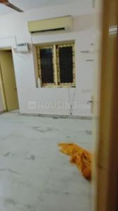 Hall Image of 1100 Sq.ft 2 BHK Apartment / Flat for rent in Kolambakkam Chennai for Rs. 30000