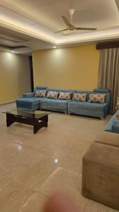 Hall Image of 2100 Sq.ft 3 BHK Apartment / Flat for rent in MI Royal Court I, Gomti Nagar Lucknow for Rs. 70000
