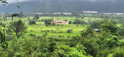 Residential Plot