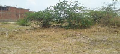 Lucknow Airpot Plot View 1