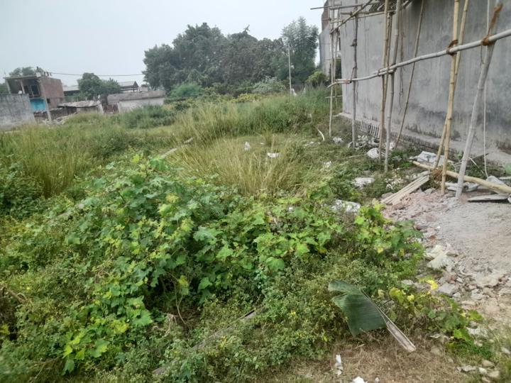 Bijnor Main Image 1