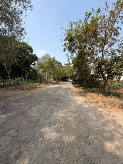 Front line estate Main Image 1