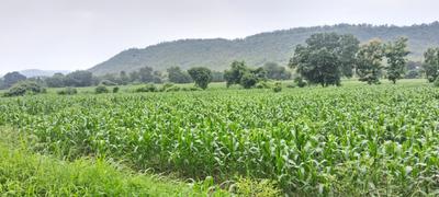Image of 4000 Sq.ft Residential Plot / Land for sale in Simrol, Indore for Rs. 1200000