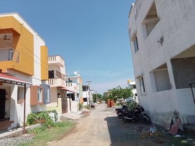Plot View