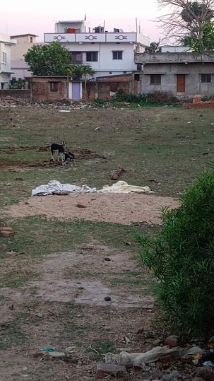 Jhalpo, C D  Colony Main Image 1