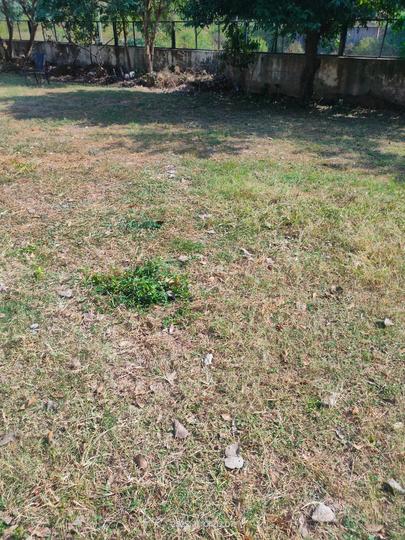 Godrej Verdania Estates Main Image 1