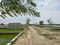 Singhpur Main Image 1