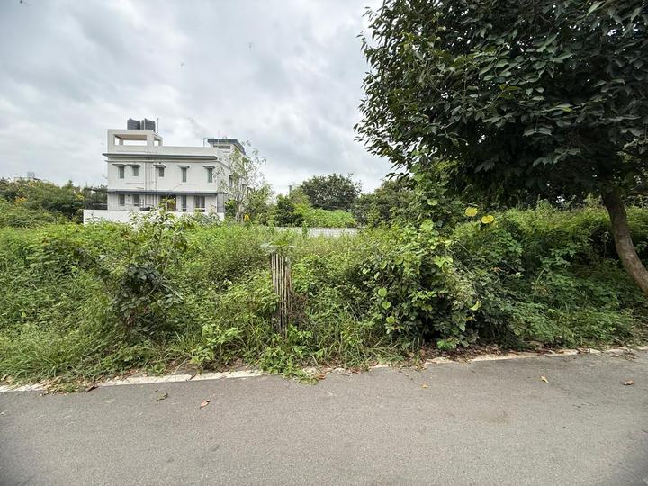 IMG Windfall Main Image 1