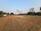 Bihta Plot View 2