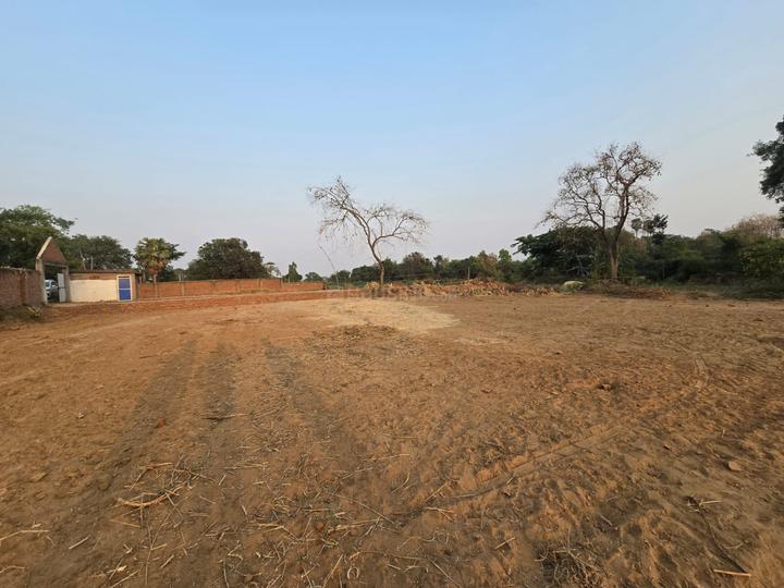 Bihta Main Image 1