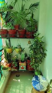 Balcony Image of 1200 Sq.ft 2 BHK Apartment / Flat for rent in Silicon City Indore for Rs. 18000