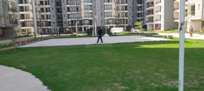 Image of 650 Sq.ft 2 BHK Apartment / Flat for rent in Habitat Prime, Sector 99A, Gurgaon for Rs. 17000