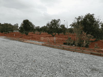 Residential Plot