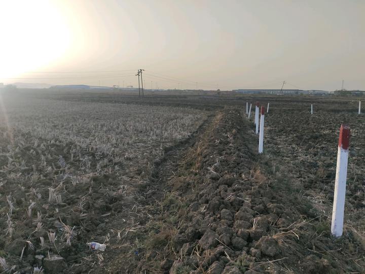 Mahamumbai Plots In Pirkon Main Image 1