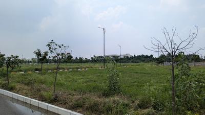 Residential Plot