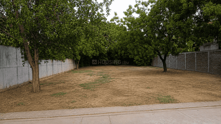 Sindhu Bhavan Road Main Image 1