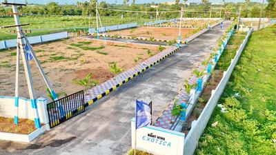 Residential Plot