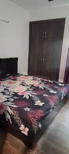 Bedroom Image of 1890 Sq.ft 3 BHK Apartment / Flat for rent in Paras Tierea, Sector 137 Noida for Rs. 42000