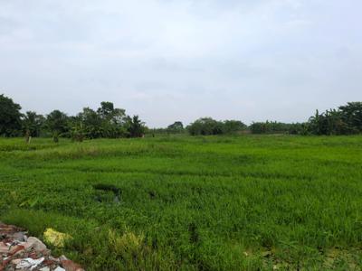 Residential Plot