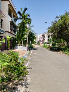 Action Area 2 Plot View 1