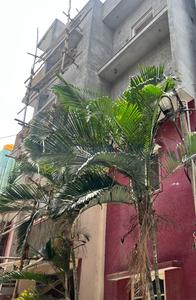 10 BHK Independent House