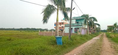 Residential Plot