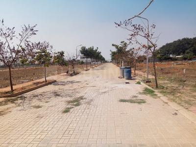 Residential Plot