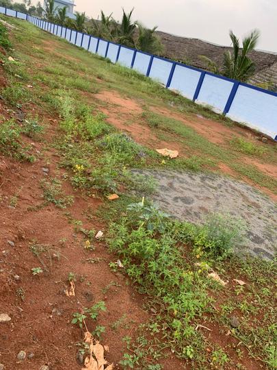 Vellanaipatti Main Image 1