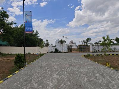 Maxx Rainbow Garden Internal Roads 1