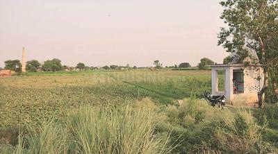 Image of 4047 Sq.ft Residential Plot / Land for sale in Nagalia, Palwal for Rs. 66000000