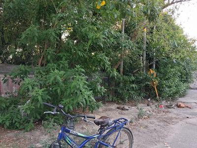 Residential Plot