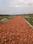 Swapnabhumi Internal Roads 2