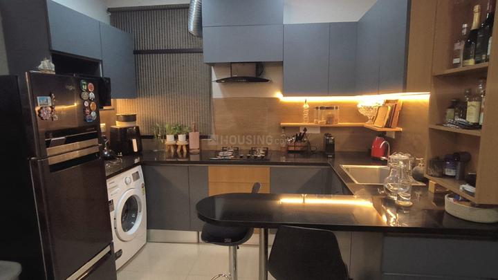 Tulip Lemon Main Image 1