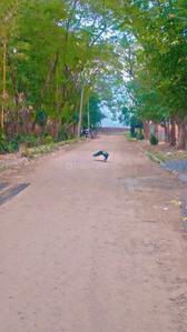 Image of 1080 Sq.ft Residential Plot / Land for sale in Maruti Kunj, Gurgaon for Rs. 5045000