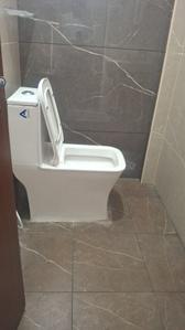 Bathroom Image of 540 Sq.ft 1 BHK Apartment / Flat for rent in BTM Layout Bengaluru for Rs. 26000