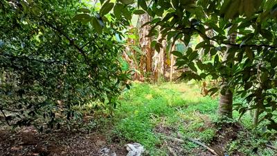 Image of 405 Sq.ft Residential Plot / Land for sale in Chalakudy, Thrissur for Rs. 225000