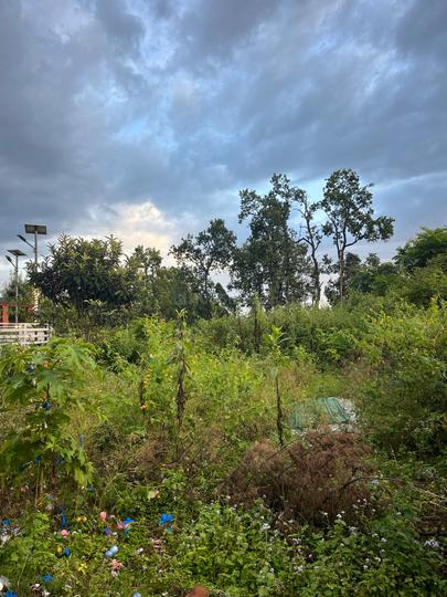 Jagriti Enclave, Sahastradhara Road Main Image 1