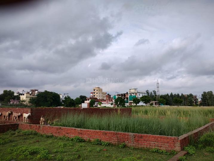 Susuwahi Main Image 1
