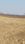 Chuttu Plot View 2